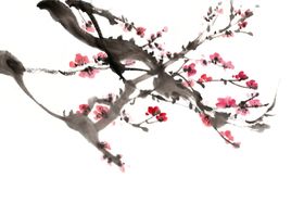 梅花树枝元素