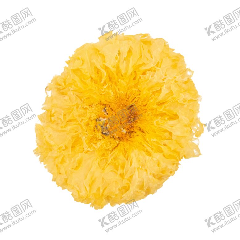 编号：68148707140156317568【酷图网】源文件下载-高清免扣银耳