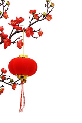 梅花树枝元素