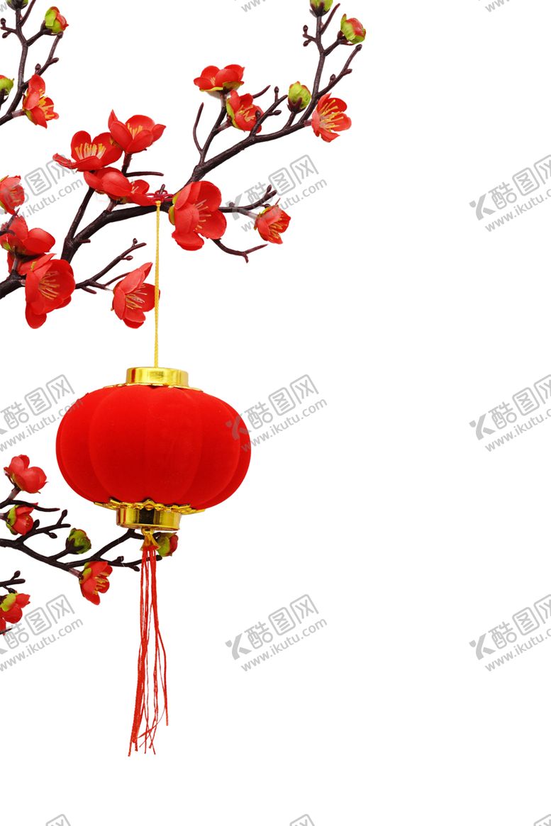 编号：12259407130602273822【酷图网】源文件下载-梅花树枝元素