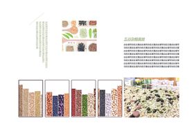 五谷杂粮海报谷物豆豆素材