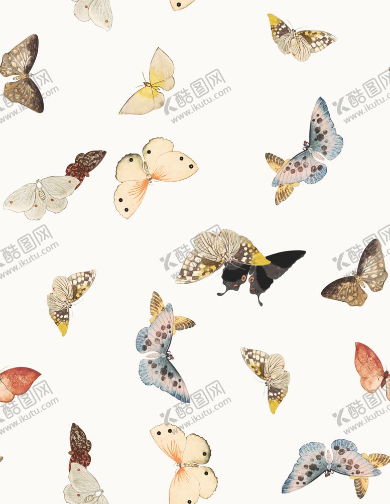编号：73969601261720443842【酷图网】源文件下载-水彩蝴蝶