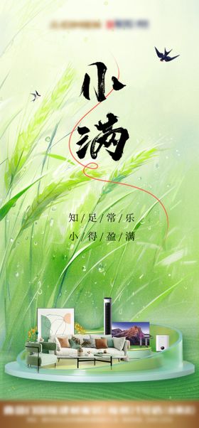小满节气海报