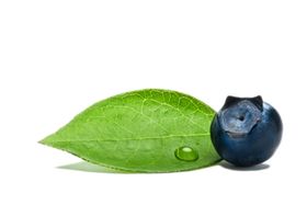 水果桃子荔枝梨