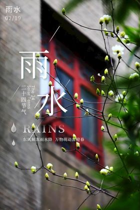 雨水节气海报二十四