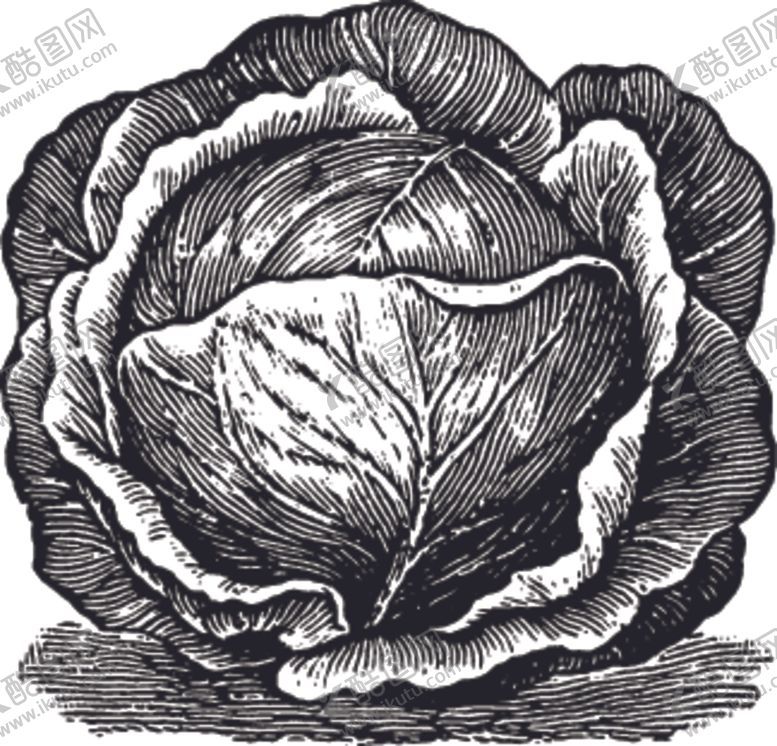 编号：35814709151523092225【酷图网】源文件下载-素描手绘蔬菜