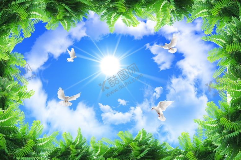 编号：26923109241308311533【酷图网】源文件下载-蓝天白云白鸽天空