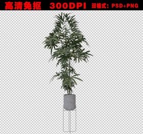 植发传单