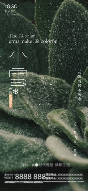 二十四节气之小雪设计版面参考