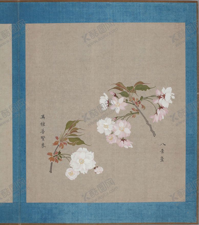 编号：27527203281002004745【酷图网】源文件下载-樱花