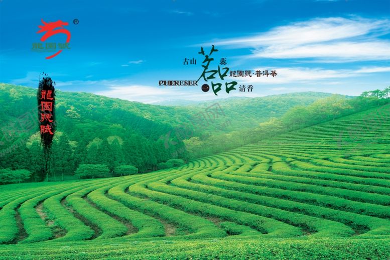 编号：42756707031600599464【酷图网】源文件下载-绿茶