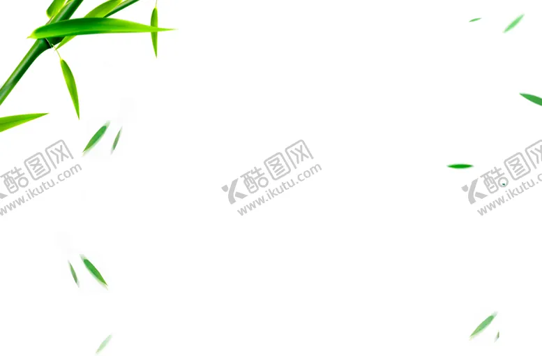 编号：57267106270713499633【酷图网】源文件下载-端午叶子素材