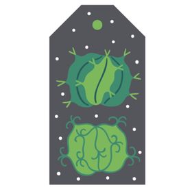 小清新仙人掌绘画图案