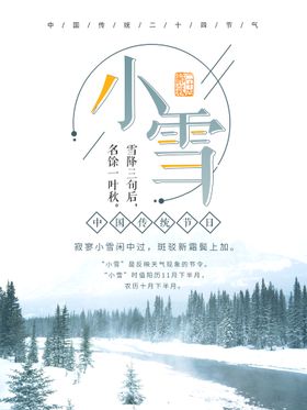 编号：87956310040628035132【酷图网】源文件下载-小雪海报