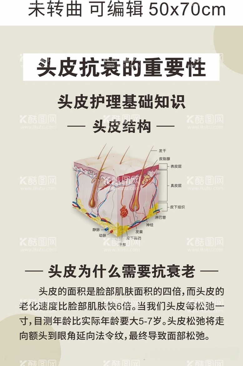 编号：68938312111513214328【酷图网】源文件下载-头皮抗衰海报