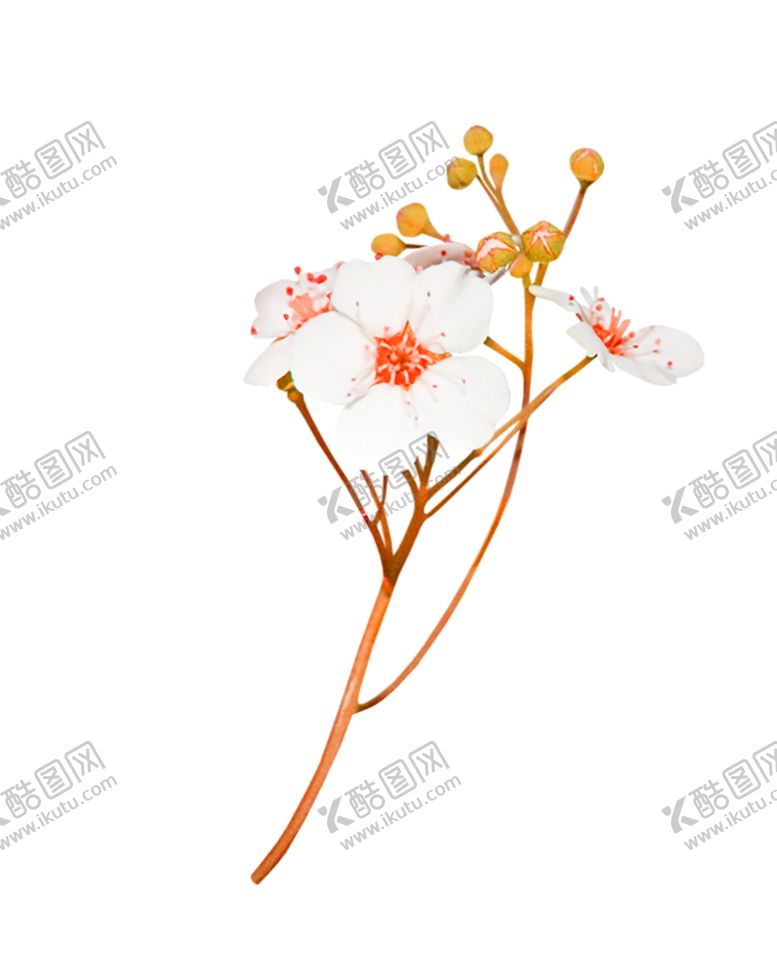 编号：23077005130612167910【酷图网】源文件下载-鲜花素材