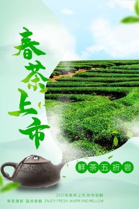 春茶上市