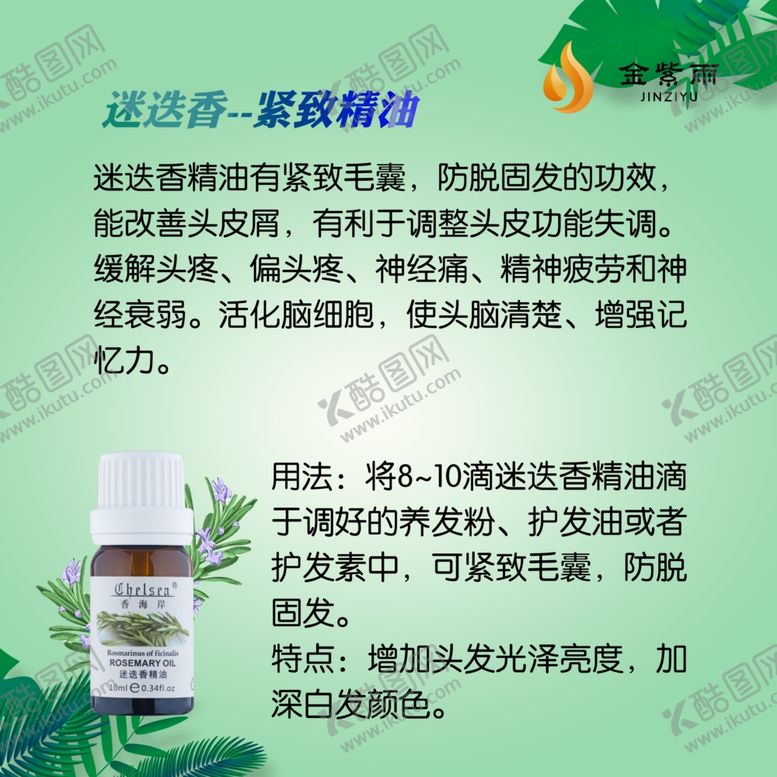 编号：66582310300238306105【酷图网】源文件下载-迷迭香洗护