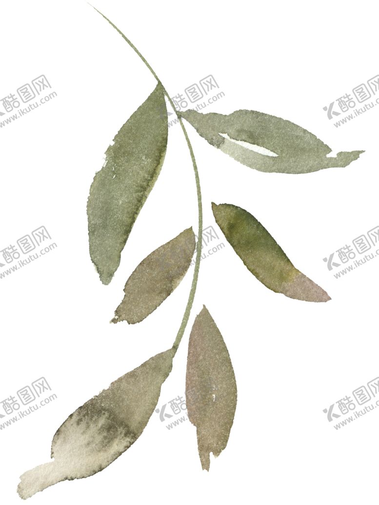 编号：50669406252052476691【酷图网】源文件下载-花卉树叶