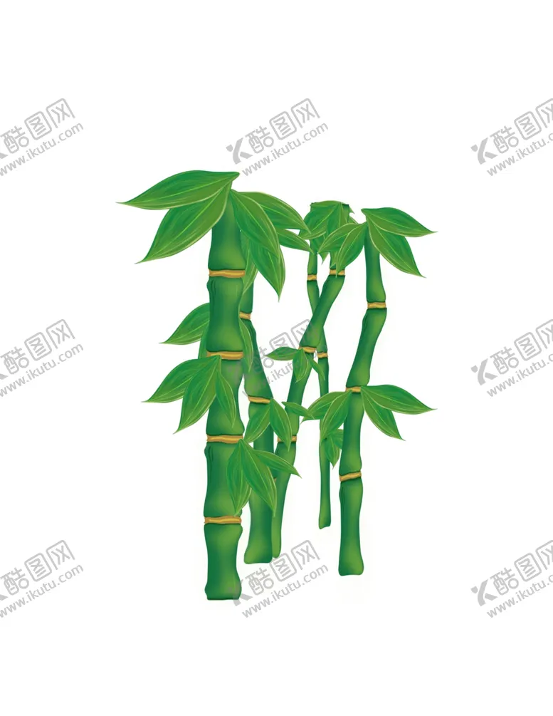编号：90510311280202555647【酷图网】源文件下载-罗汉竹插画