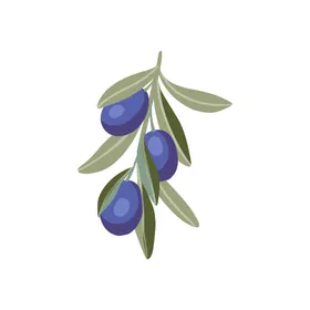 森系花枝