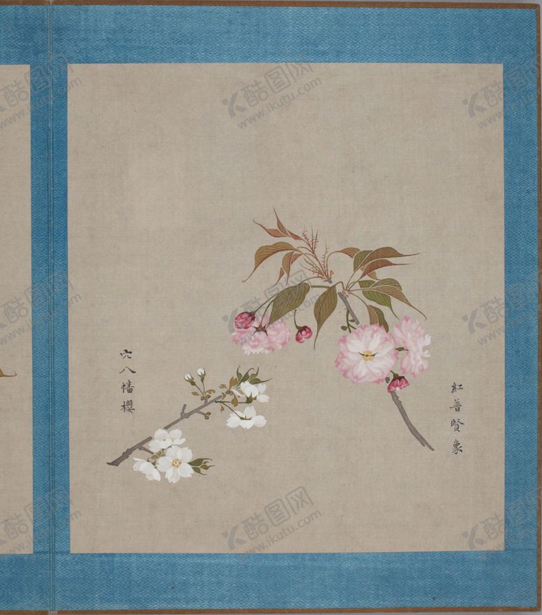 编号：59497610040556482847【酷图网】源文件下载-樱花