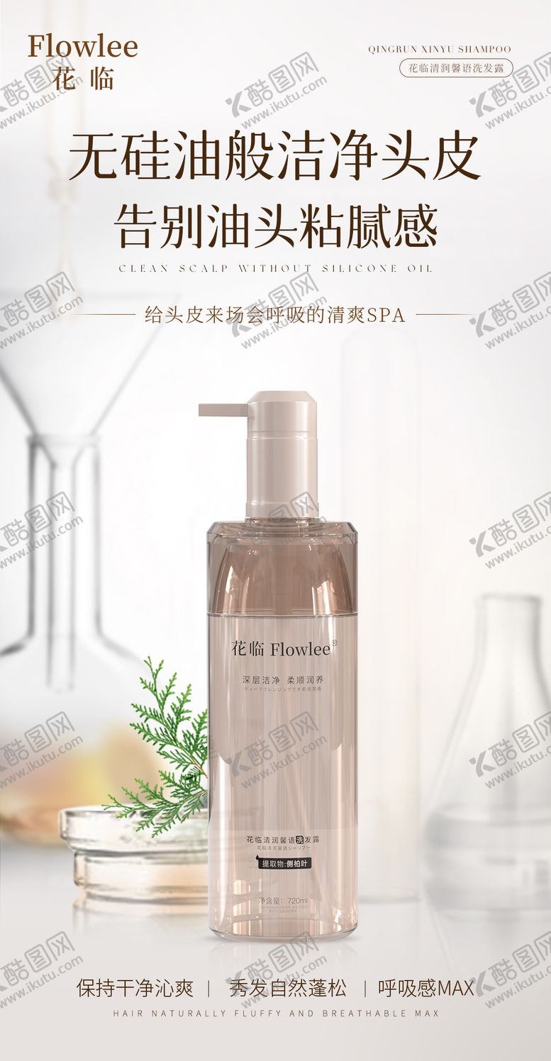 编号：95206810162302181826【酷图网】源文件下载-侧柏叶洗发水海报