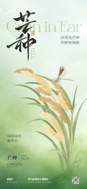 芒种海报