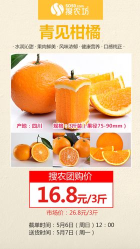 青见柑橘