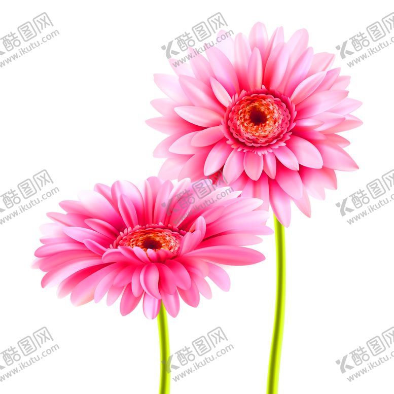 编号：27434809220724274548【酷图网】源文件下载-浪漫素材