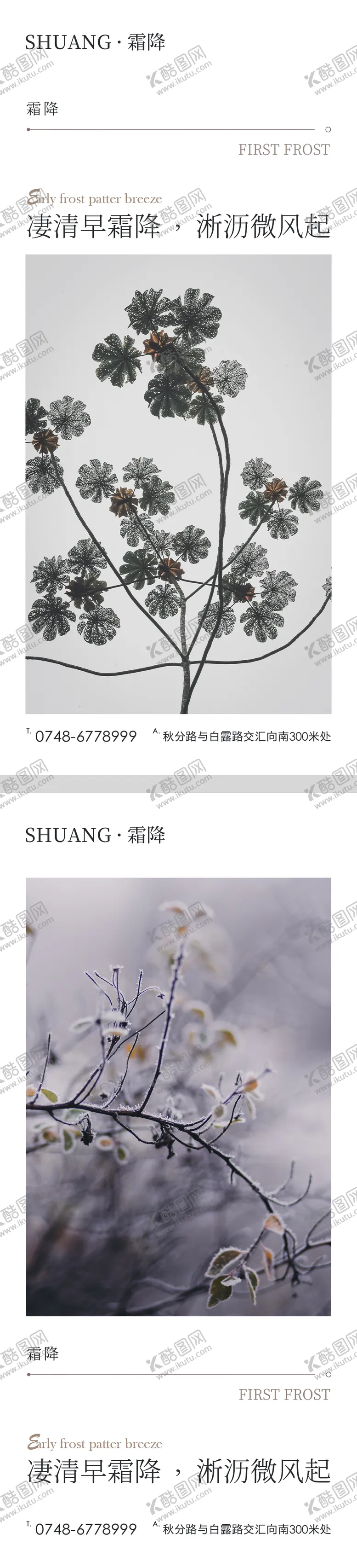 编号：38114411220731139922【酷图网】源文件下载-霜降节气系列海报
