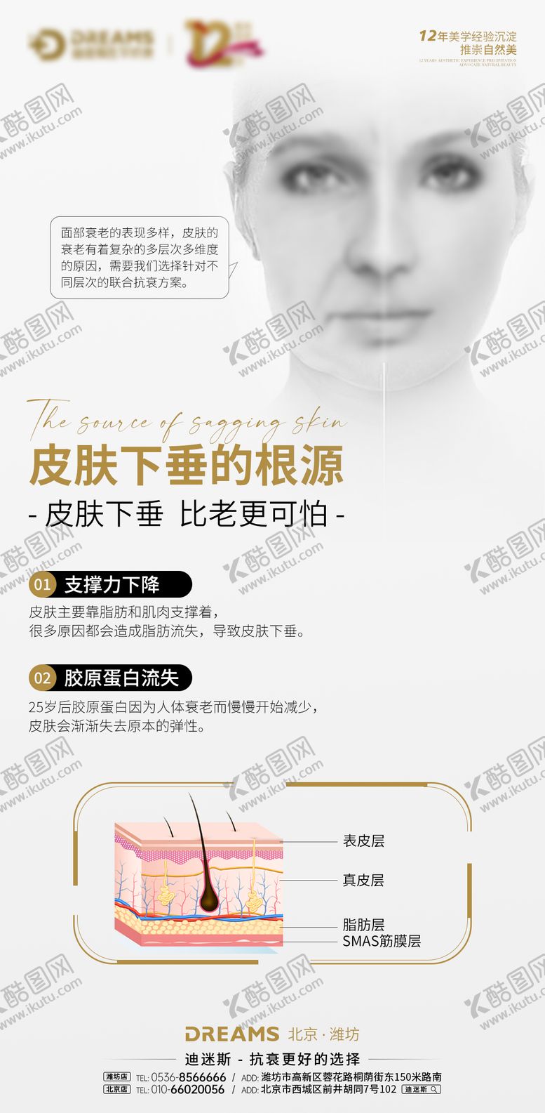 衰老知识皮肤下垂原因海报医美美业科普