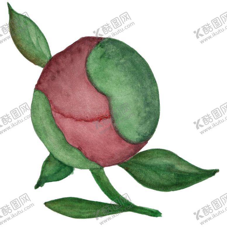 编号：23785210171917335403【酷图网】源文件下载-花卉背景 