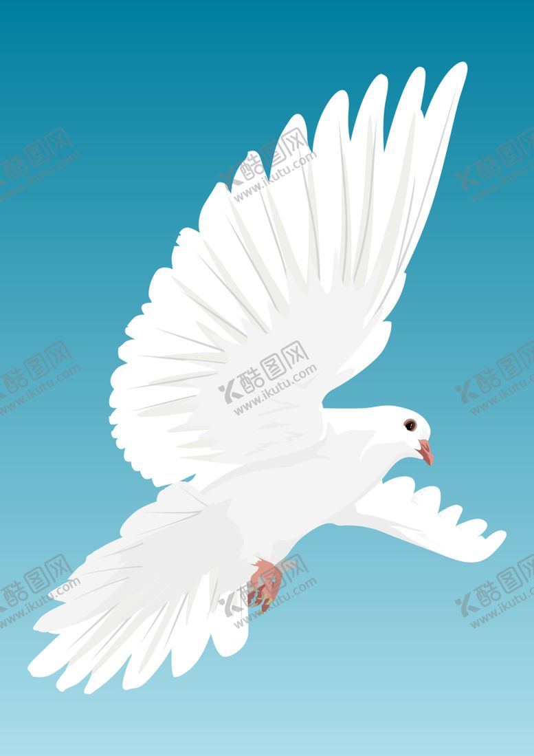 编号：43932404220434451221【酷图网】源文件下载-白鸽