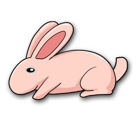 手绘兔子