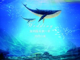 蓝色海洋深海鱼群背景