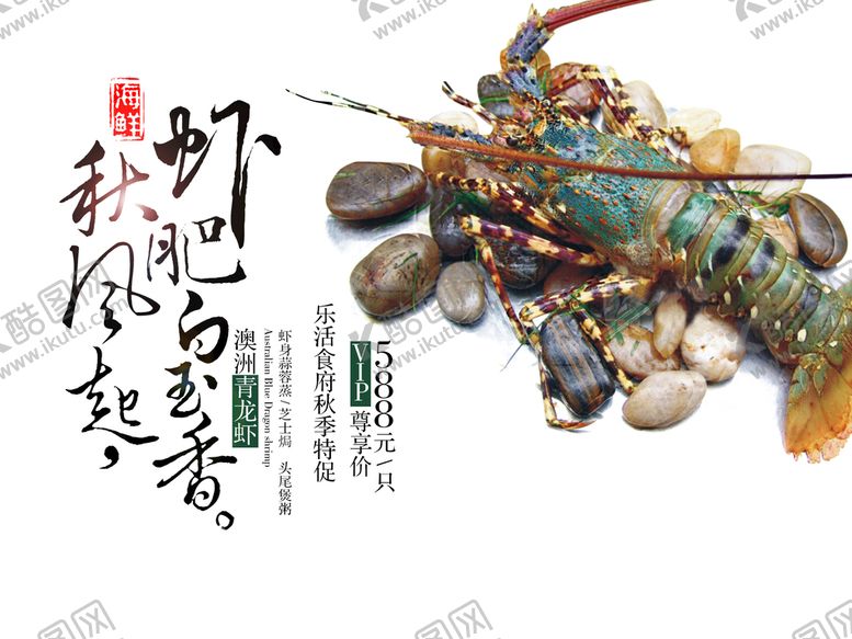 编号：93718209220725391394【酷图网】源文件下载-澳洲龙虾