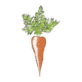 彩色素描蔬菜
