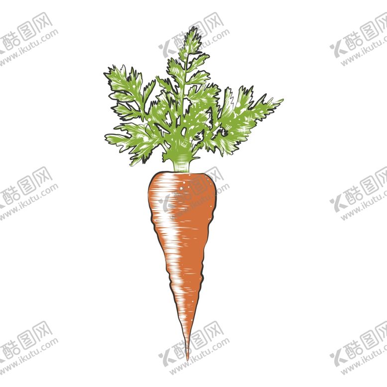 编号：44099907062310284439【酷图网】源文件下载-彩色素描蔬菜