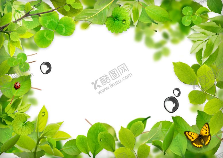 编号：86638509290019522340【酷图网】源文件下载-绿色植物