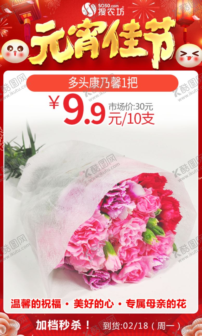 编号：57763909192204123379【酷图网】源文件下载-元宵多头康乃馨