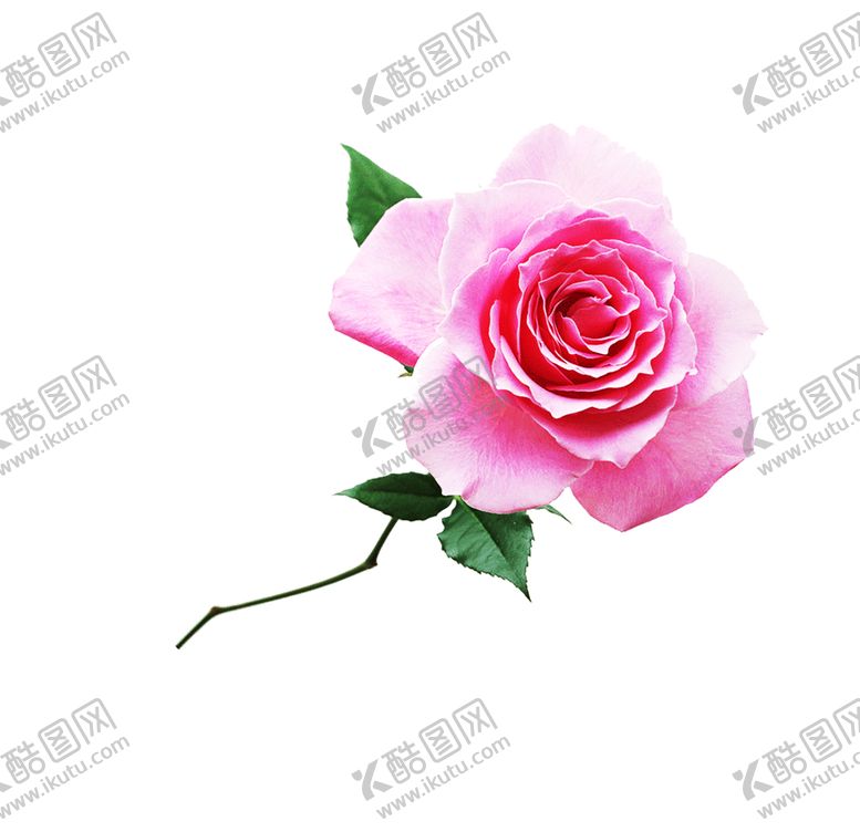 编号：37864806142151447996【酷图网】源文件下载-浪漫素材
