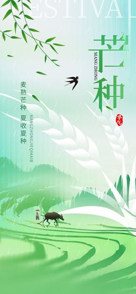 芒种