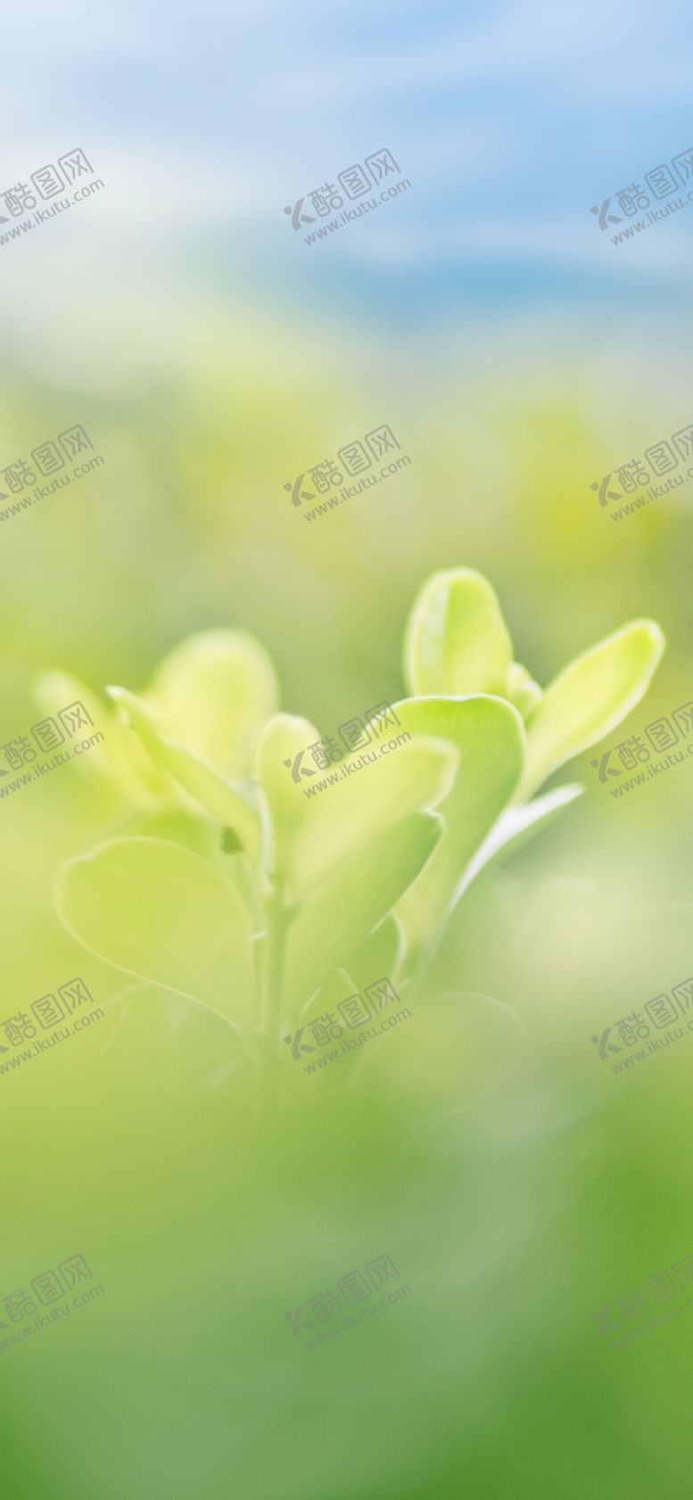 编号：93460109240856003962【酷图网】源文件下载-手机壁纸