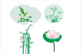 玉兰 竹子 荷花