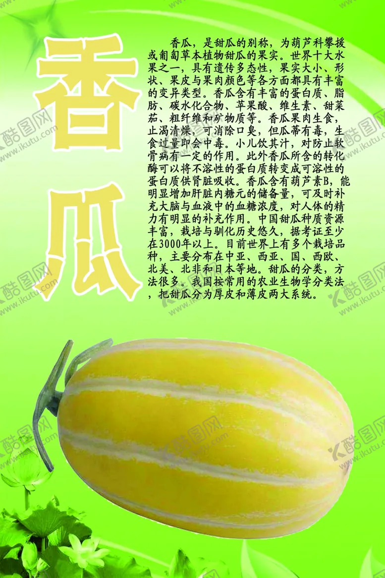 编号：83555206302356534370【酷图网】源文件下载-水果文化系列之香瓜