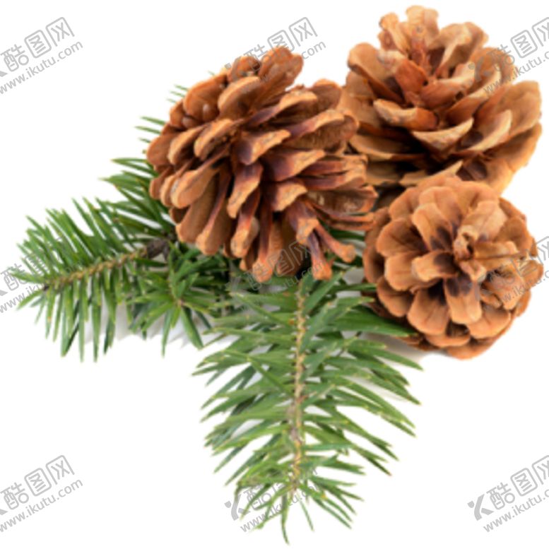编号：53476209290230333462【酷图网】源文件下载-松果