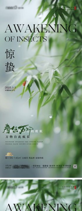 惊蛰节气海报露珠二十四瓢虫