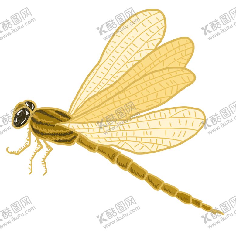编号：53628909271702264716【酷图网】源文件下载-蜻蜓素材