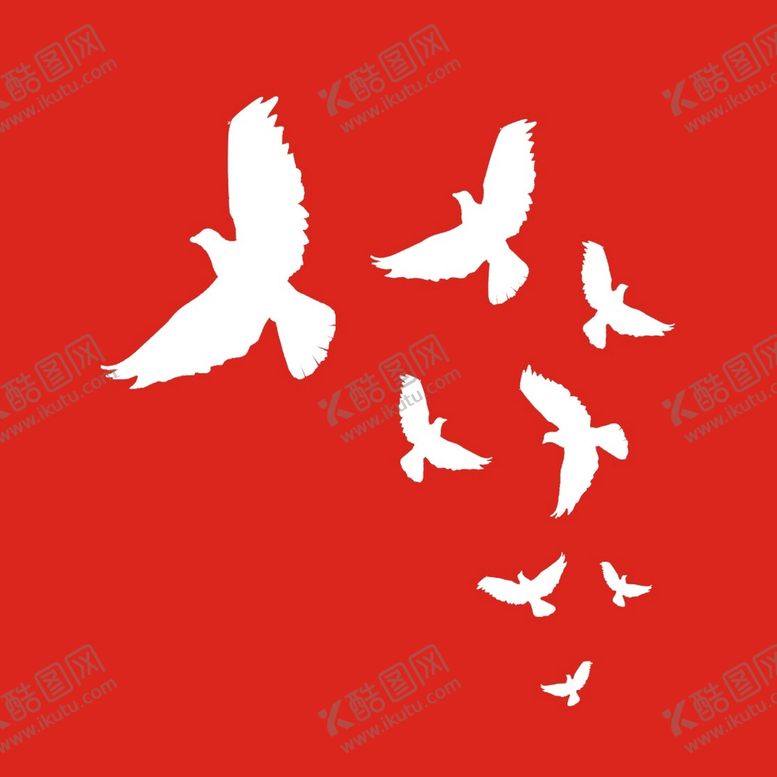 编号：99018501130644279835【酷图网】源文件下载-鸽子